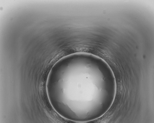 X0000060770263200511171221