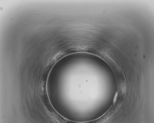 X0000060770264200511171221