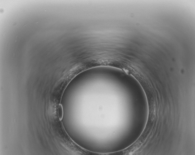 X0000060770268200511171221