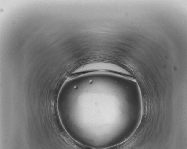 X0000060770269200511171221