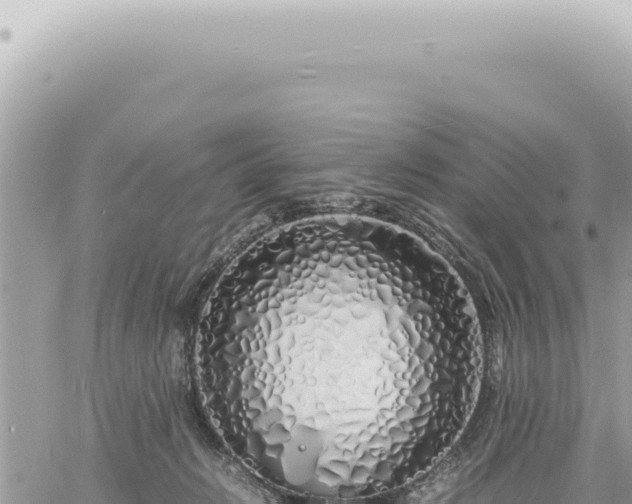 X0000060770270200511171221