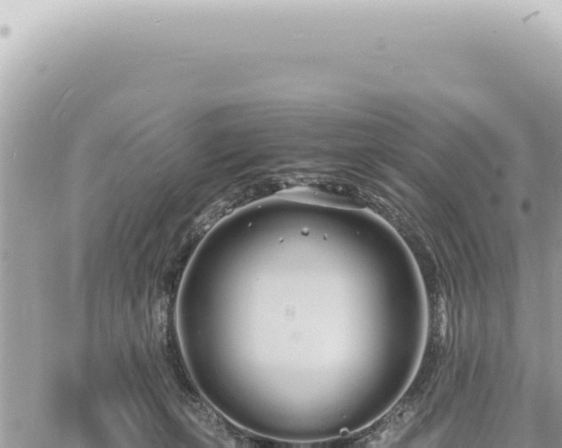 X0000060770271200511171221