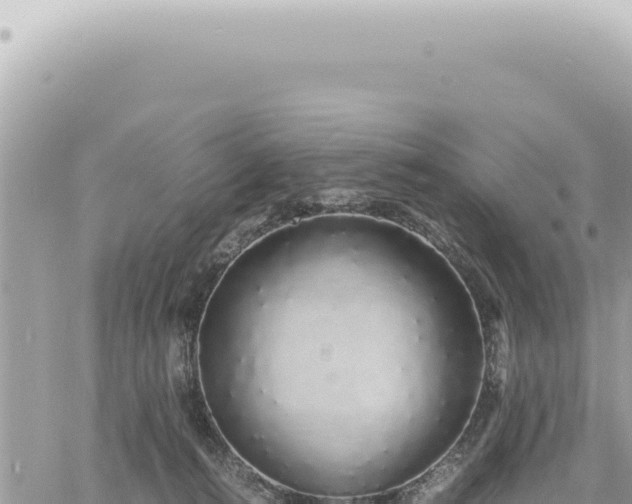 X0000060770272200511171221