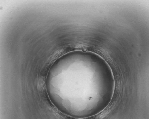 X0000060770273200511171221