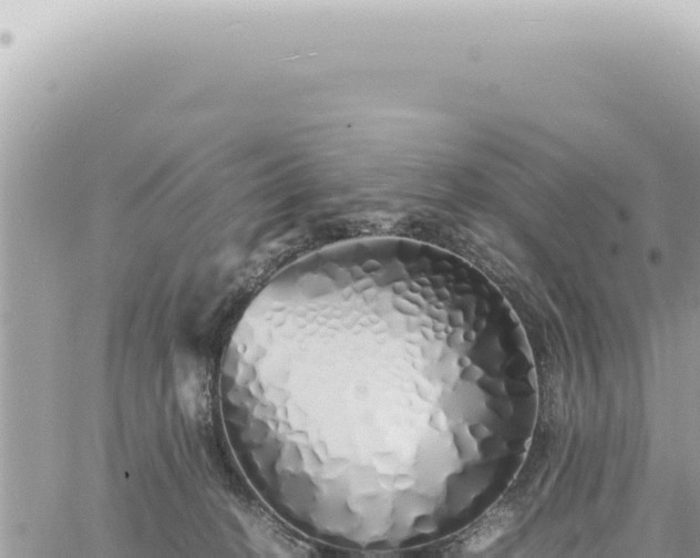 X0000060770274200511171221