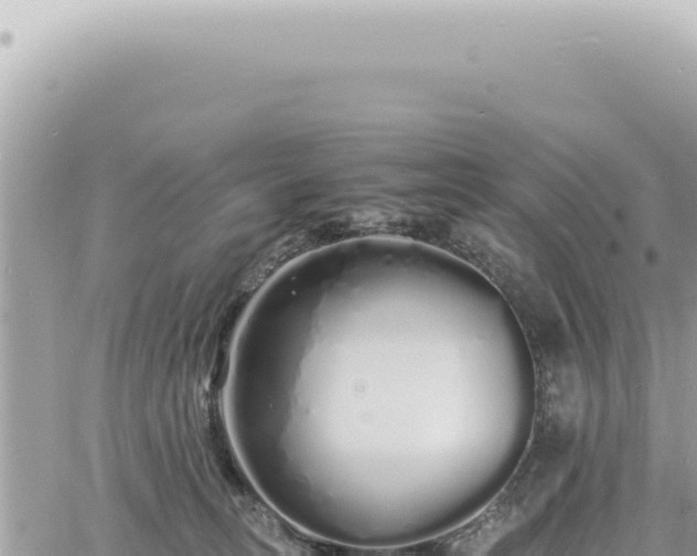 X0000060770275200511171221