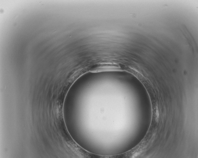 X0000060770276200511171221