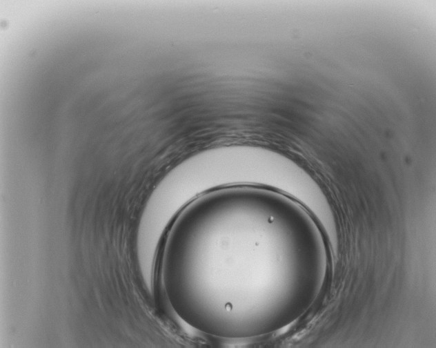 X0000060770277200511171221