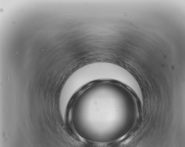 X0000060770278200511171221