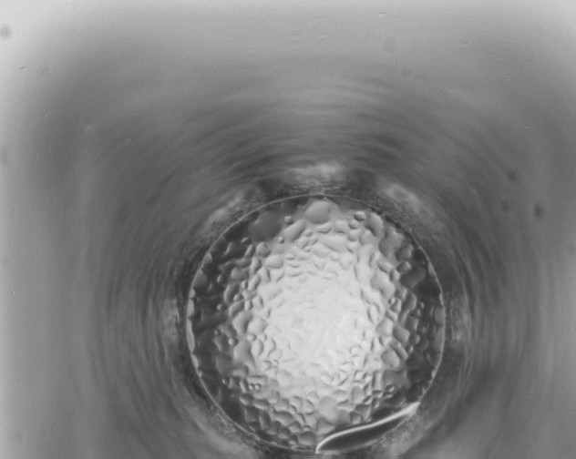 X0000060770279200511171221