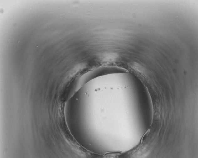 X0000060770280200511171221