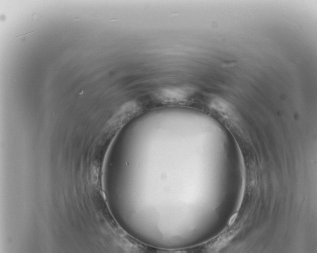 X0000060770281200511171221