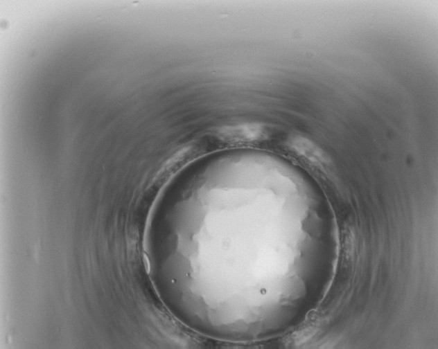 X0000060770283200511171221