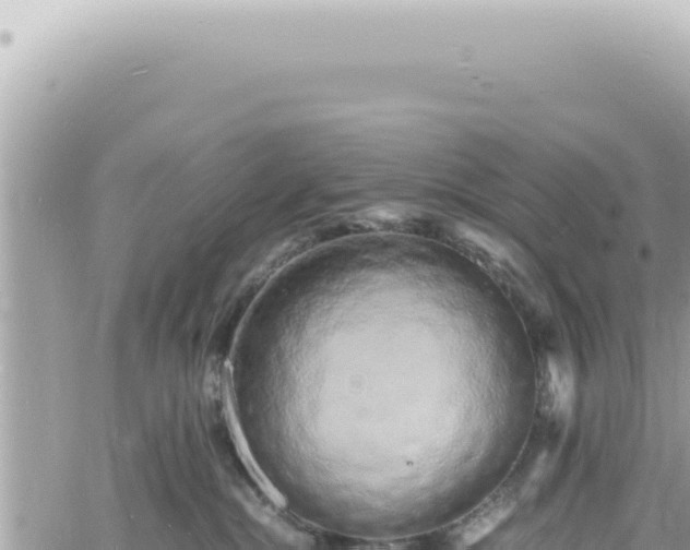 X0000060770284200511171221