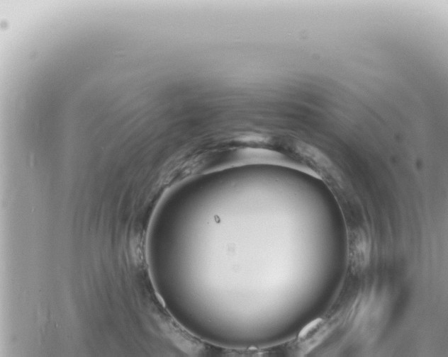 X0000060770285200511171221