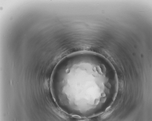 X0000060770286200511171221