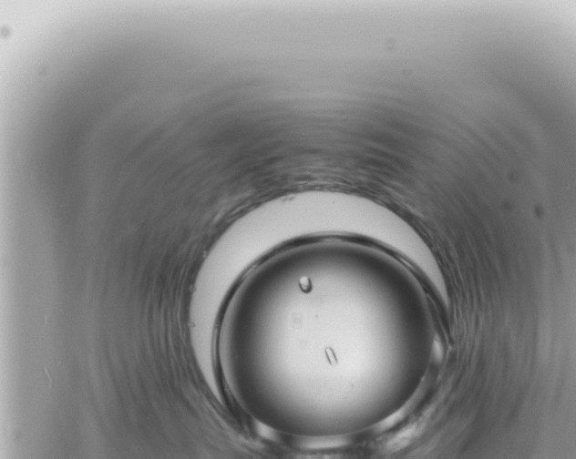 X0000060770287200511171221