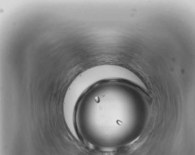 X0000060770288200511171221