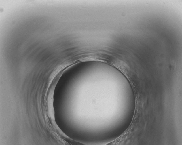 X0000060770289200511171220