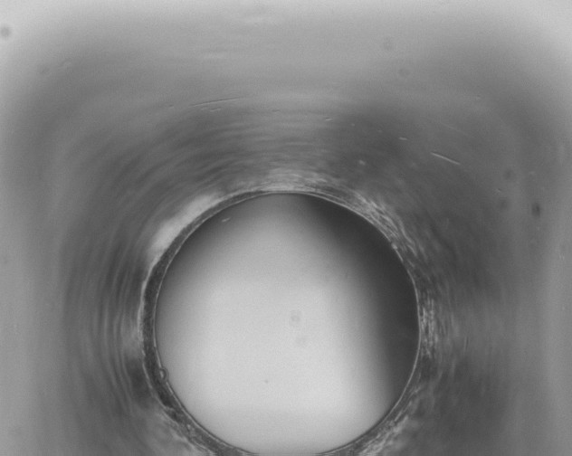 X0000060770292200511171220