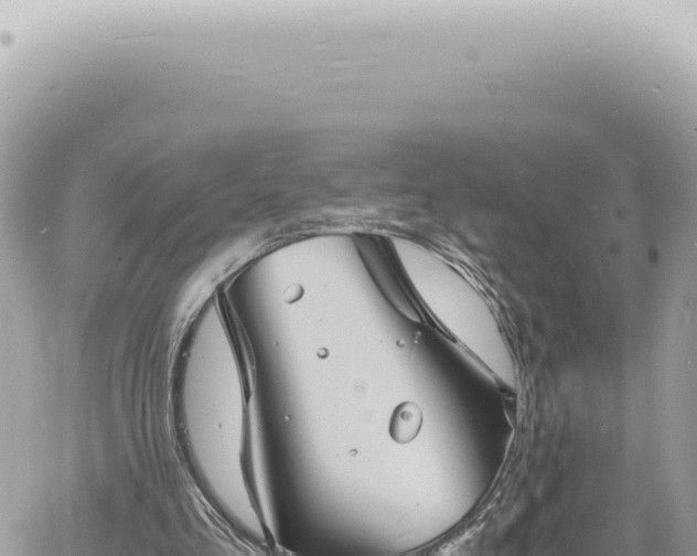 X0000060770293200511171220