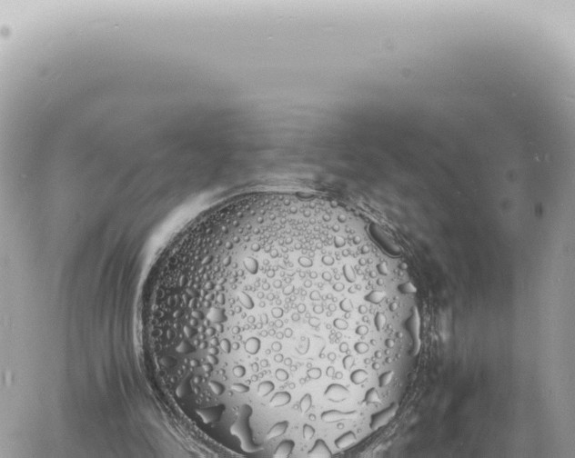 X0000060770294200511171220