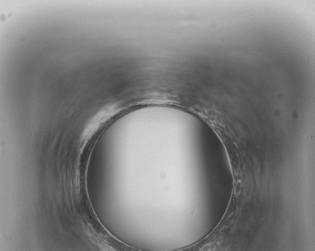 X0000060770296200511171220