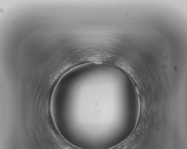 X0000060770297200511171220