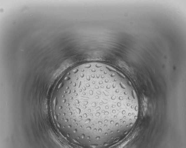 X0000060770298200511171220