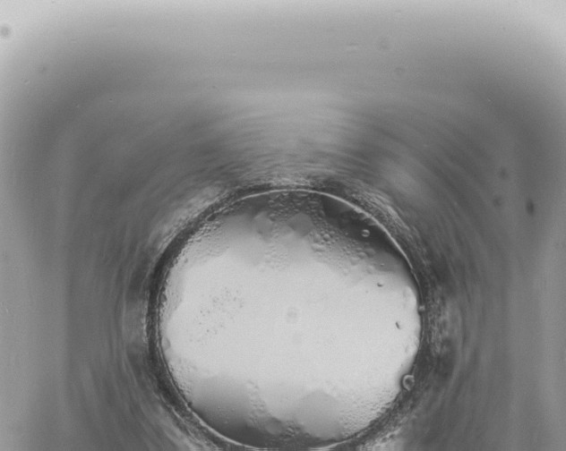 X0000060770299200511171220