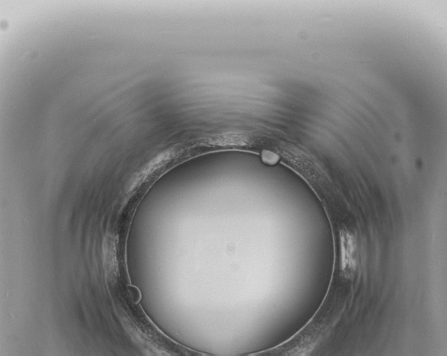 X0000060770300200511171220