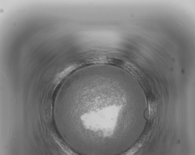 X0000060770301200511171220