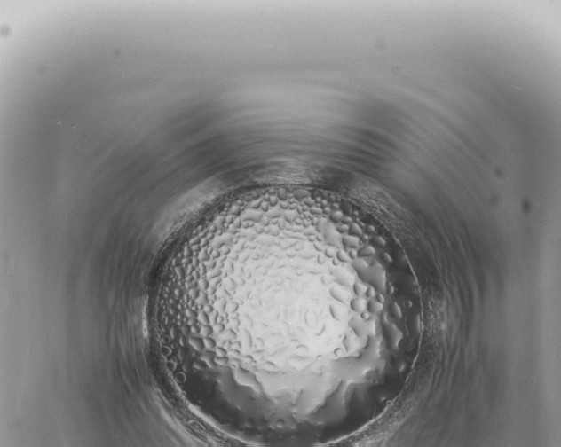 X0000060770302200511171220