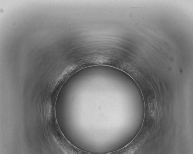 X0000060770304200511171220