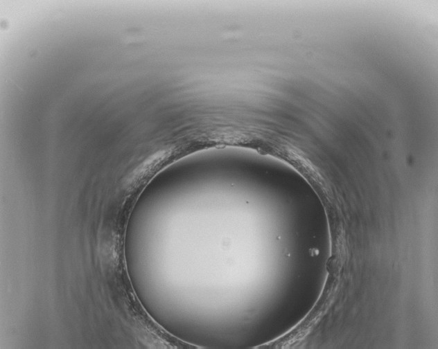 X0000060770305200511171220