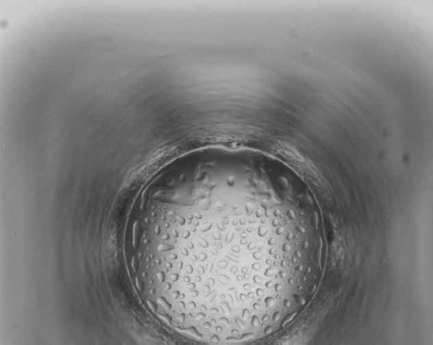 X0000060770306200511171220