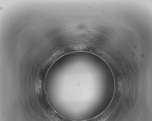 X0000060770308200511171220