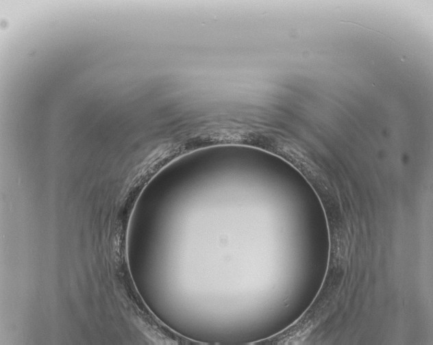 X0000060770309200511171220