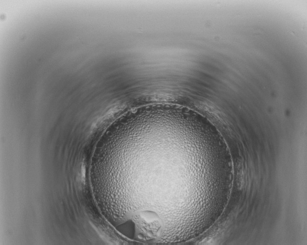 X0000060770310200511171220