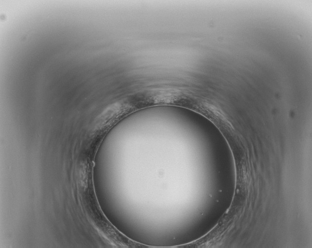 X0000060770311200511171220