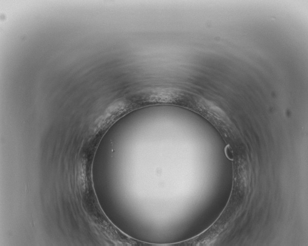 X0000060770312200511171220