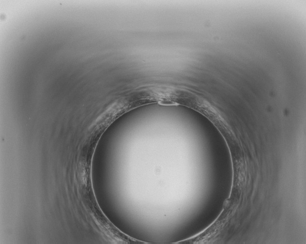 X0000060770313200511171220