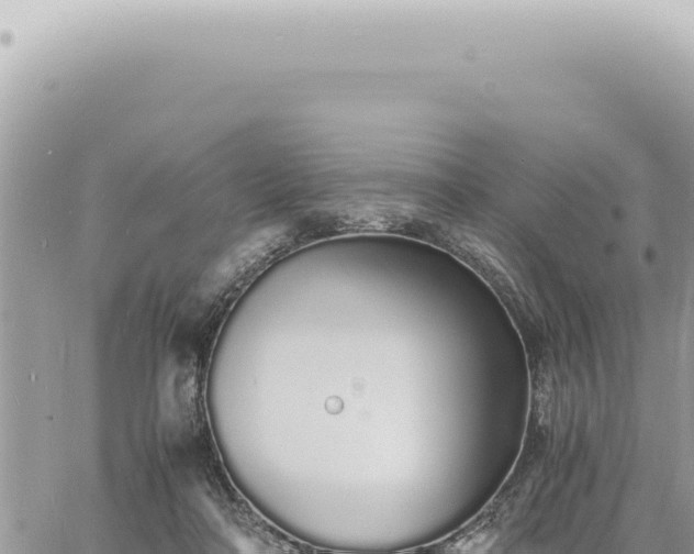 X0000060770314200511171220