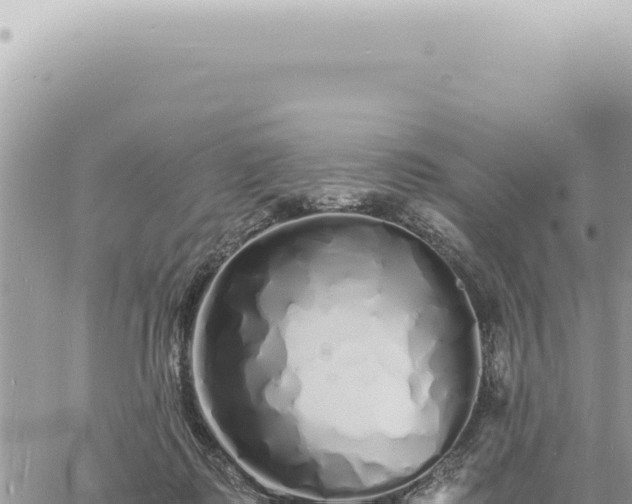 X0000060770315200511171220