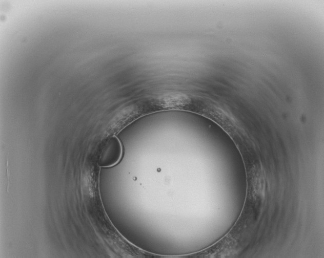 X0000060770316200511171220