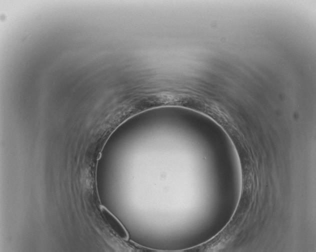 X0000060770317200511171220