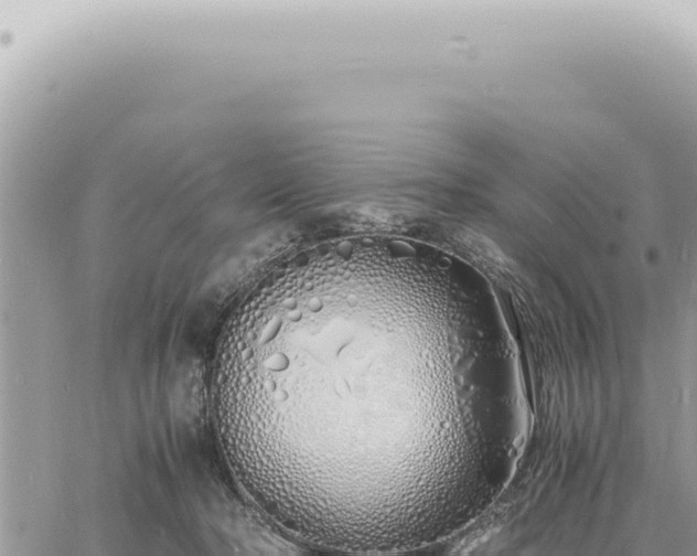 X0000060770318200511171220