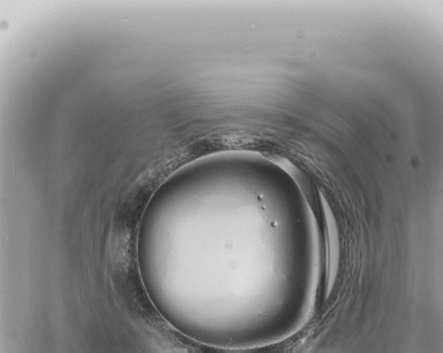 X0000060770319200511171220