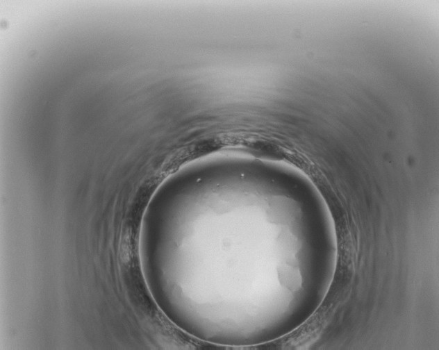 X0000060770323200511171220