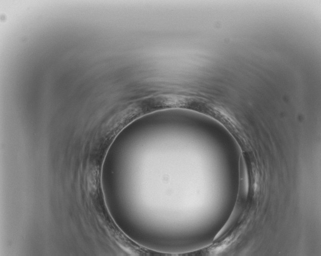 X0000060770325200511171220